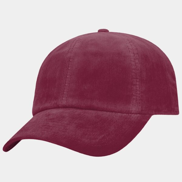 Adult Artifact Cap Thumbnail